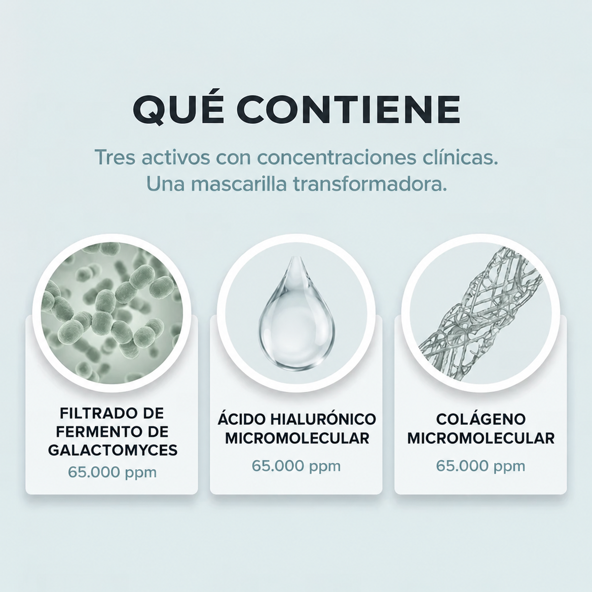 Qué contiene